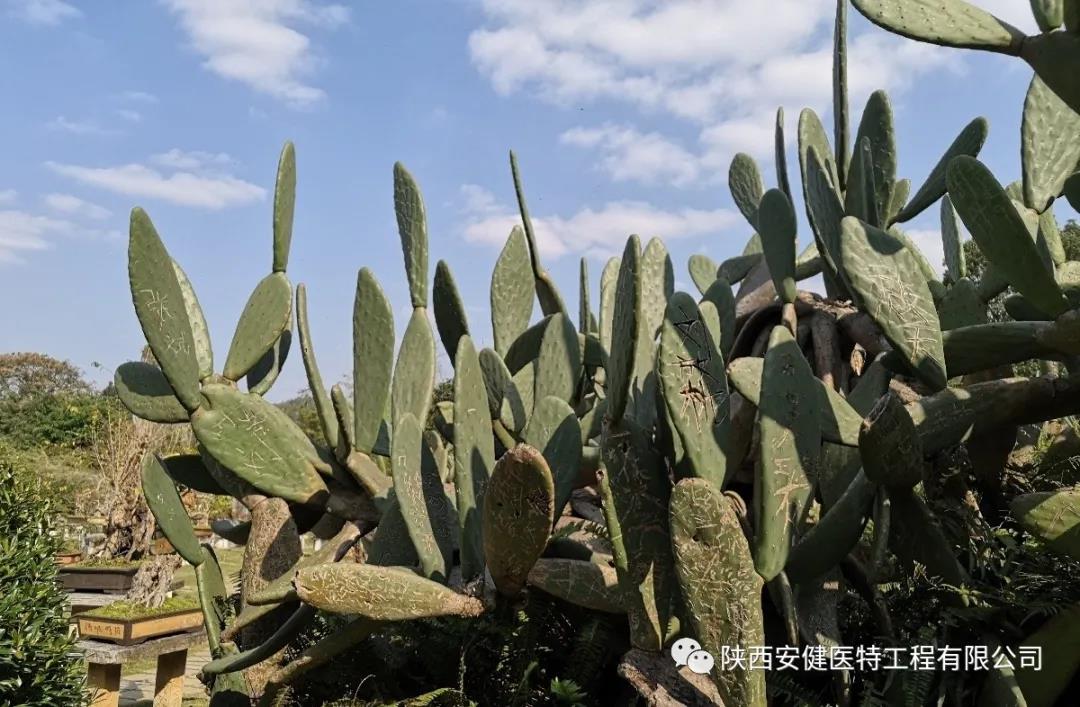微信图片_20210113164027.jpg