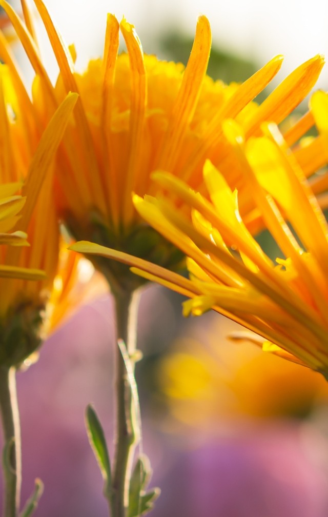 默认标题__2023-09-15 15_16_00.jpeg