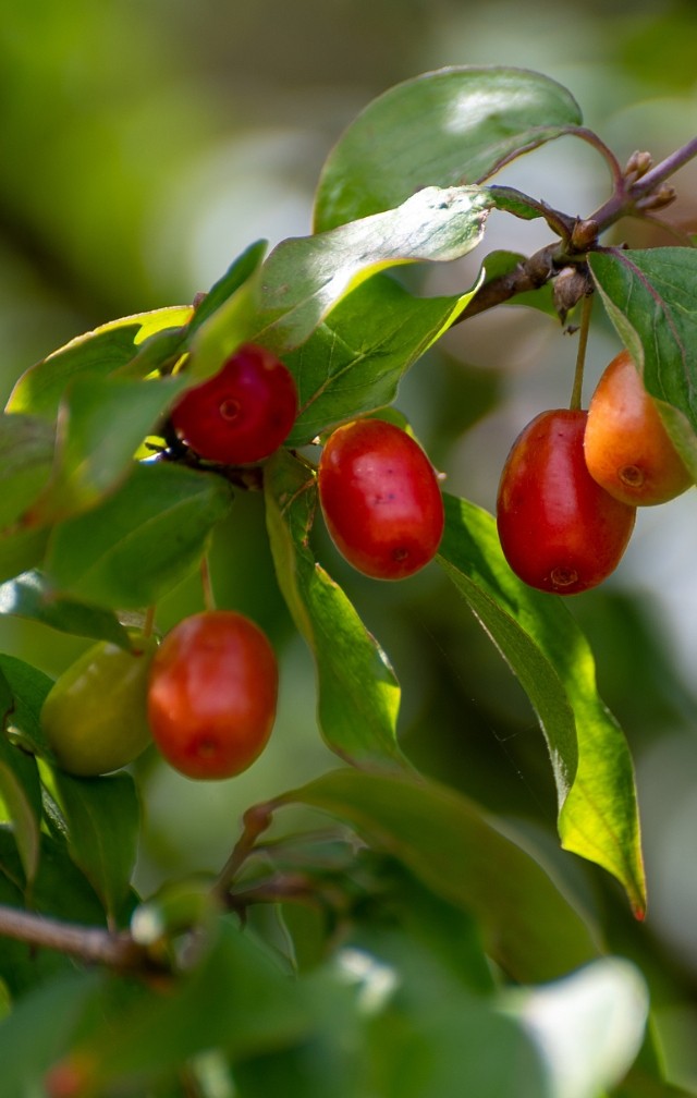 默认标题__2023-10-10 09_07_32.jpeg