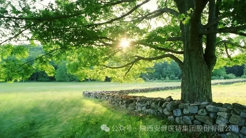 640 (1).webp (14).png