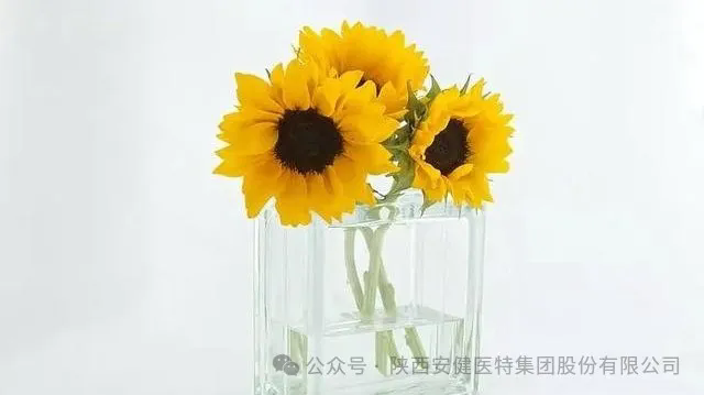 640.webp (6).png