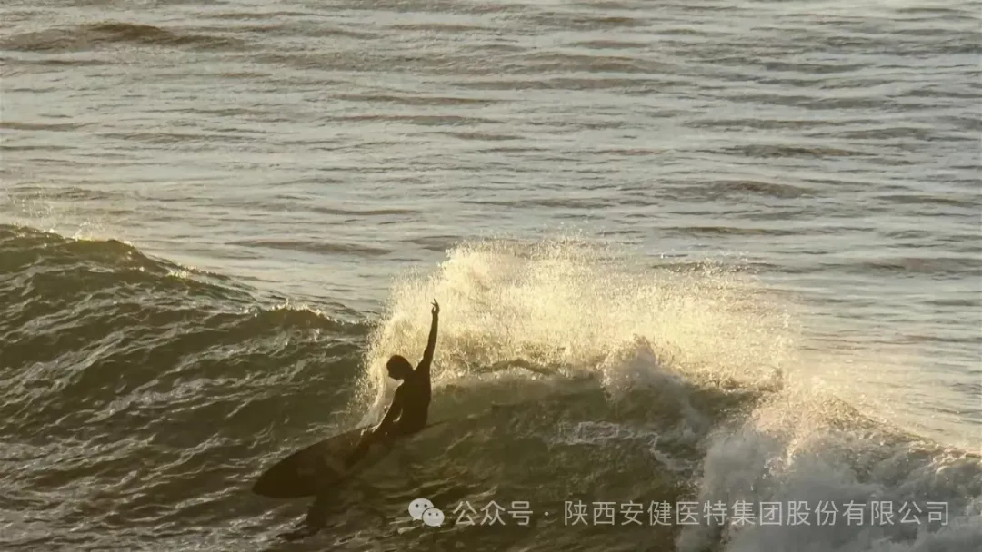 640.webp (8).png