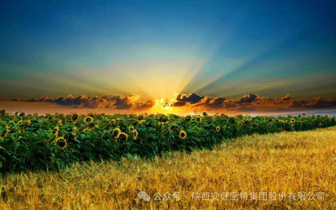 640.webp (9).png