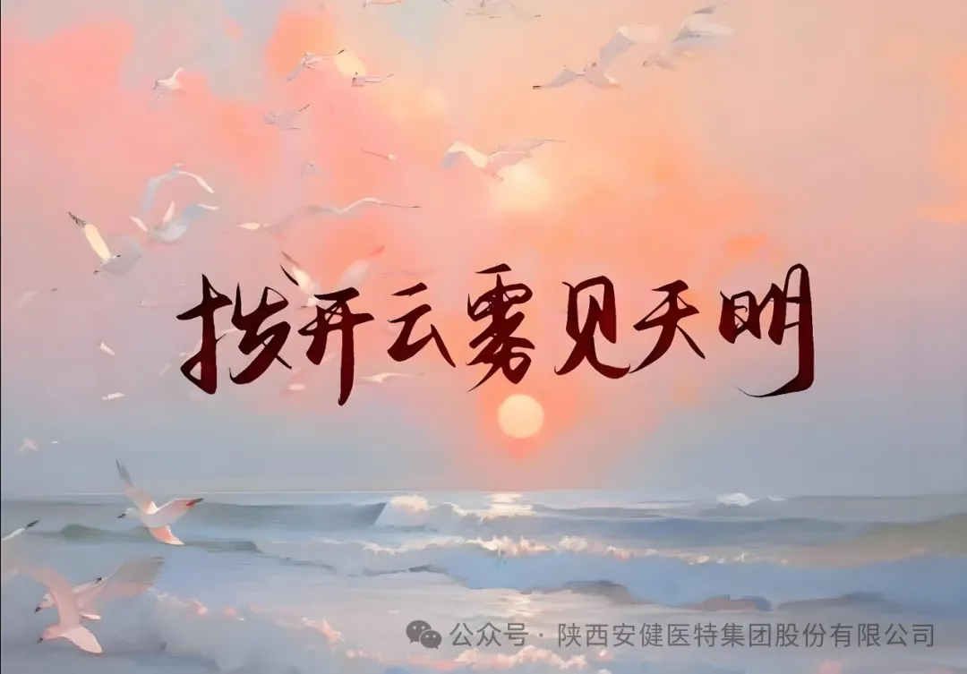 640.webp (3).png