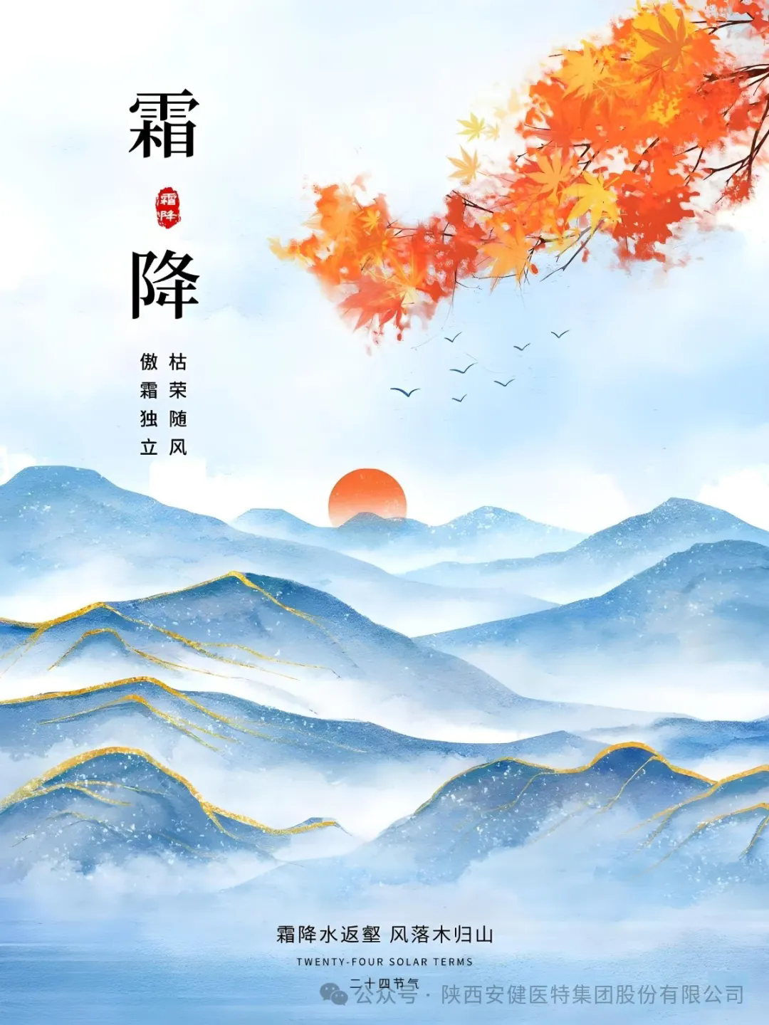 640.webp (1).png