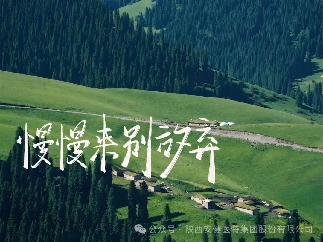 640.webp (7).png