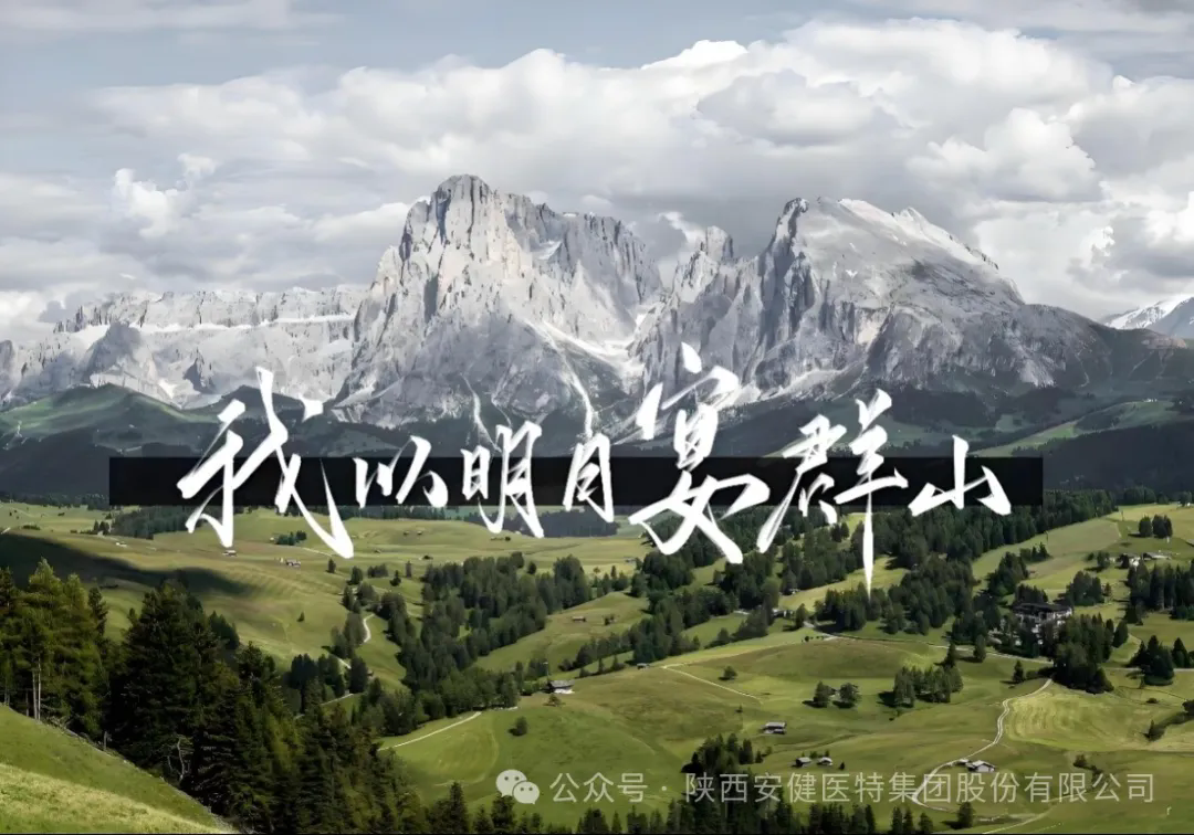 640.webp (9).png