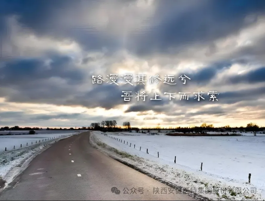640.webp (20).png