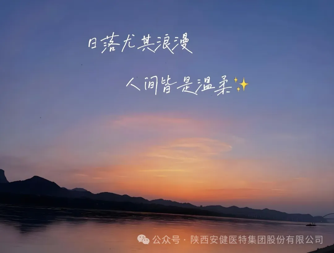 640.webp (30).png