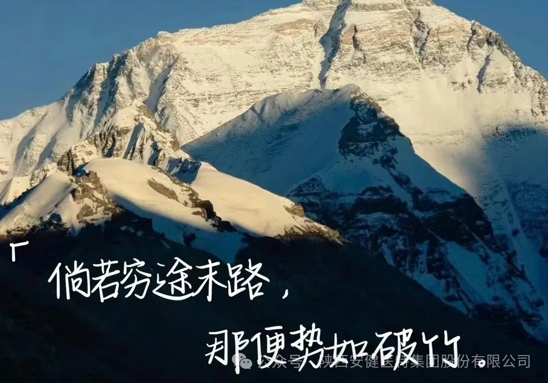 640.webp (31).png