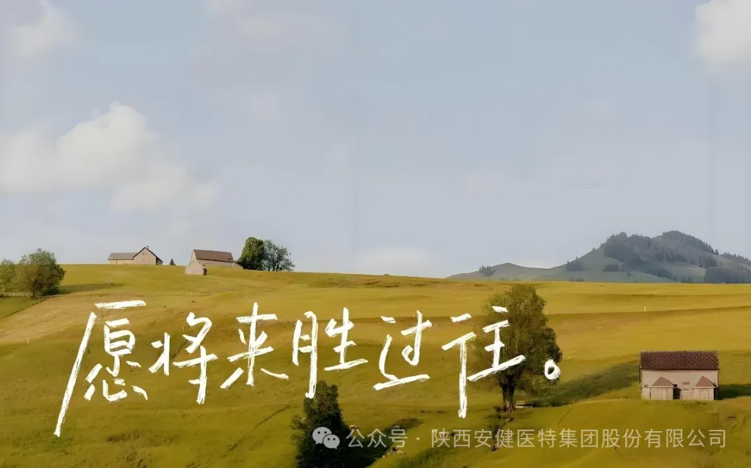 640.webp (6).png