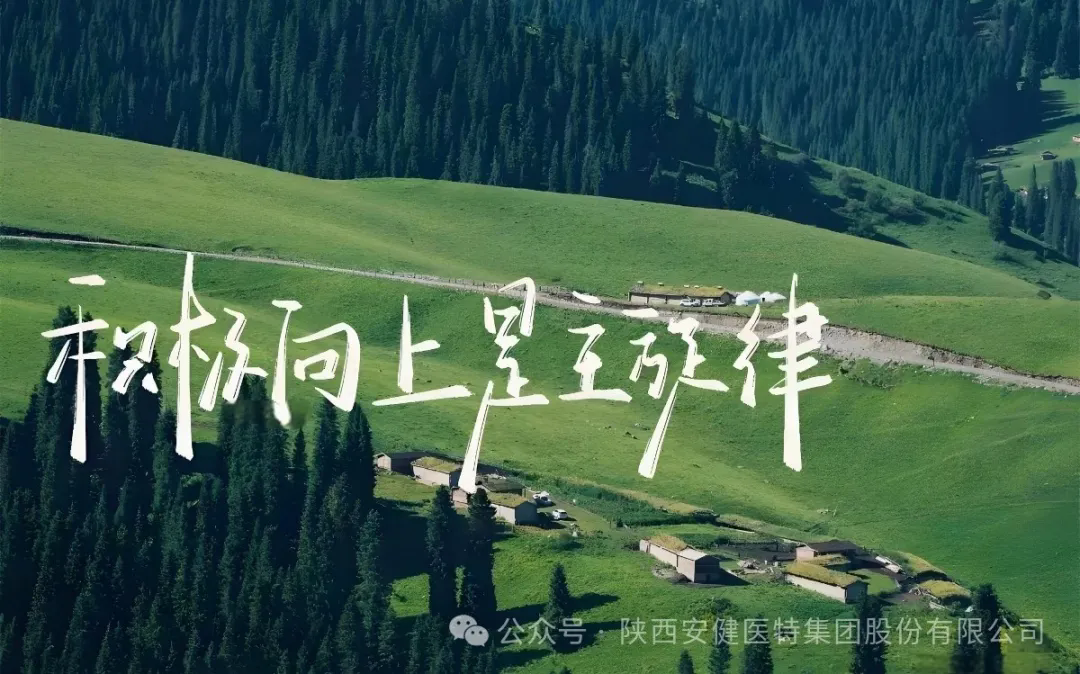 640.webp (9).png