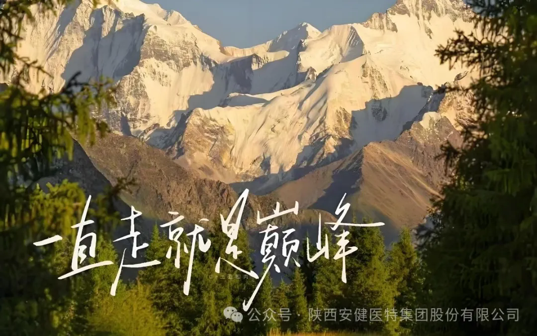 640.webp (11).png