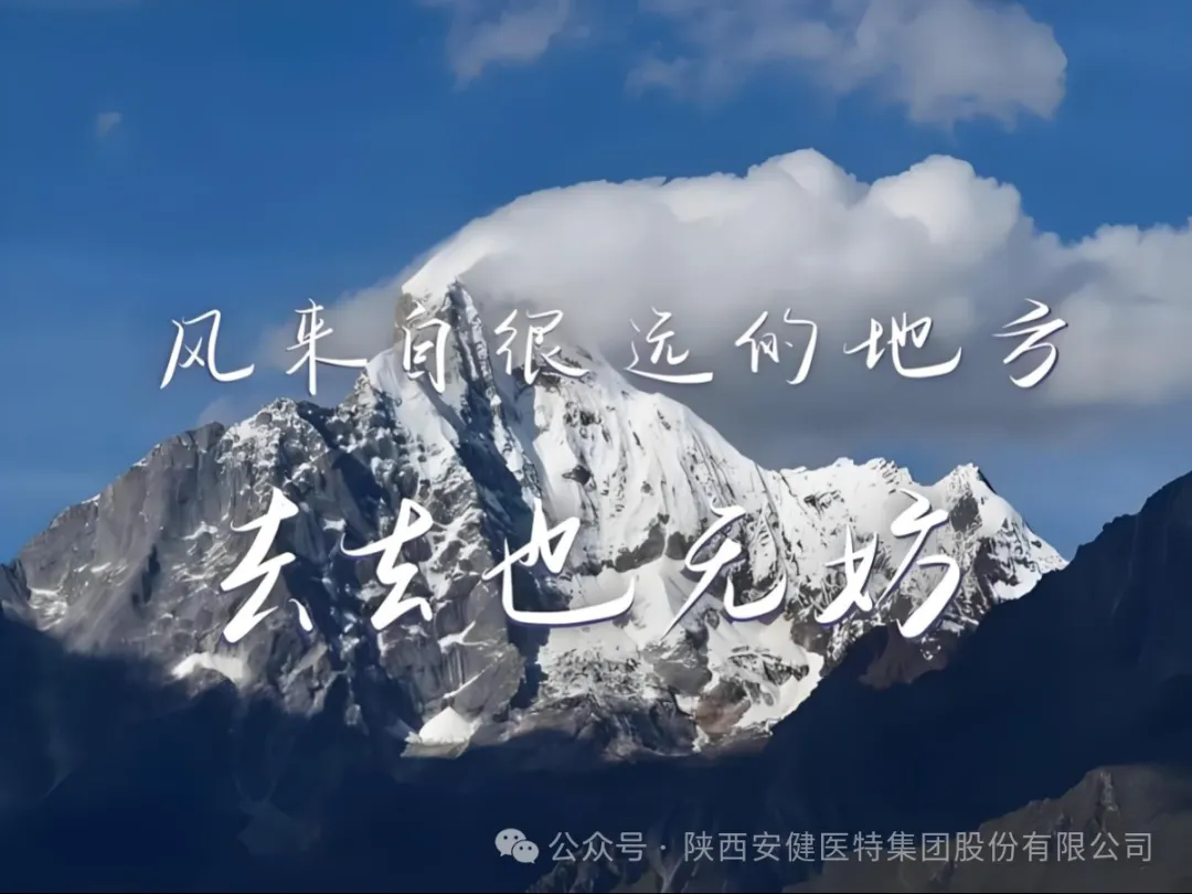 640.webp (21).png