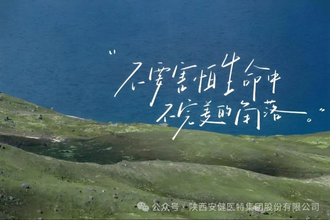 640.webp (23).png
