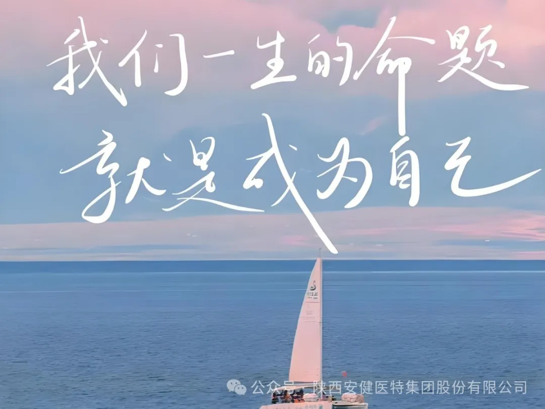 640.webp (24).png