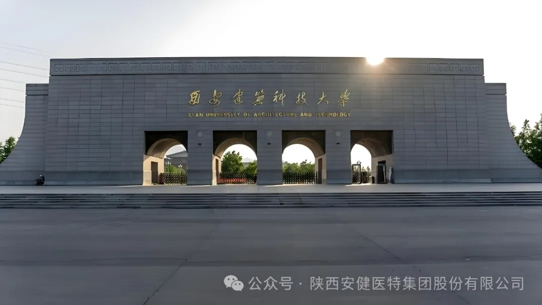 640.webp (43).png