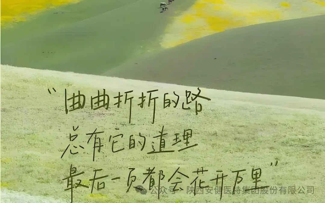 640.webp (57).png