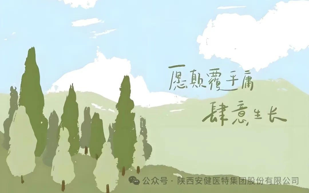 640.webp (3).png