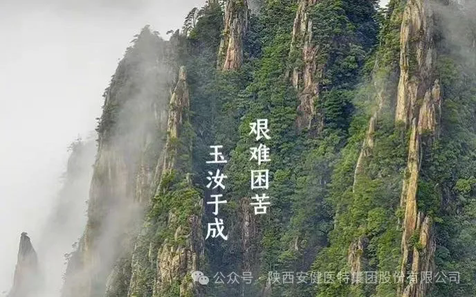 640.webp (7).png