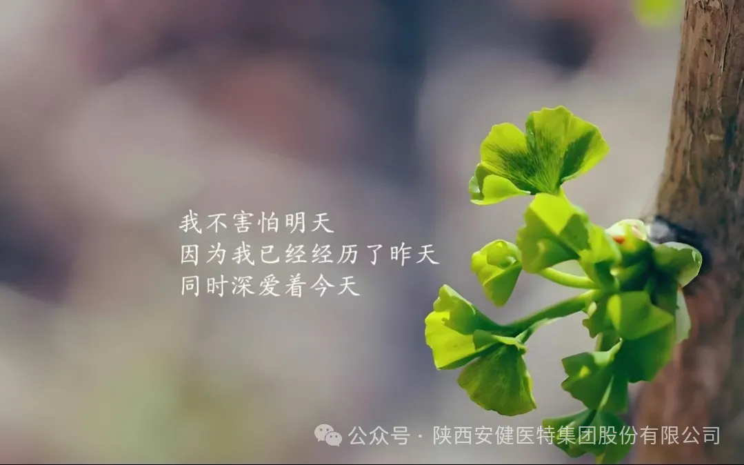 640.webp (11).png