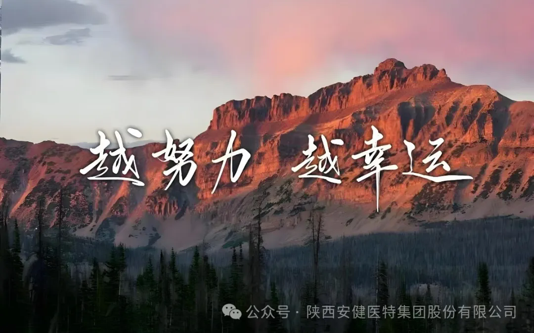 640.webp (12).png