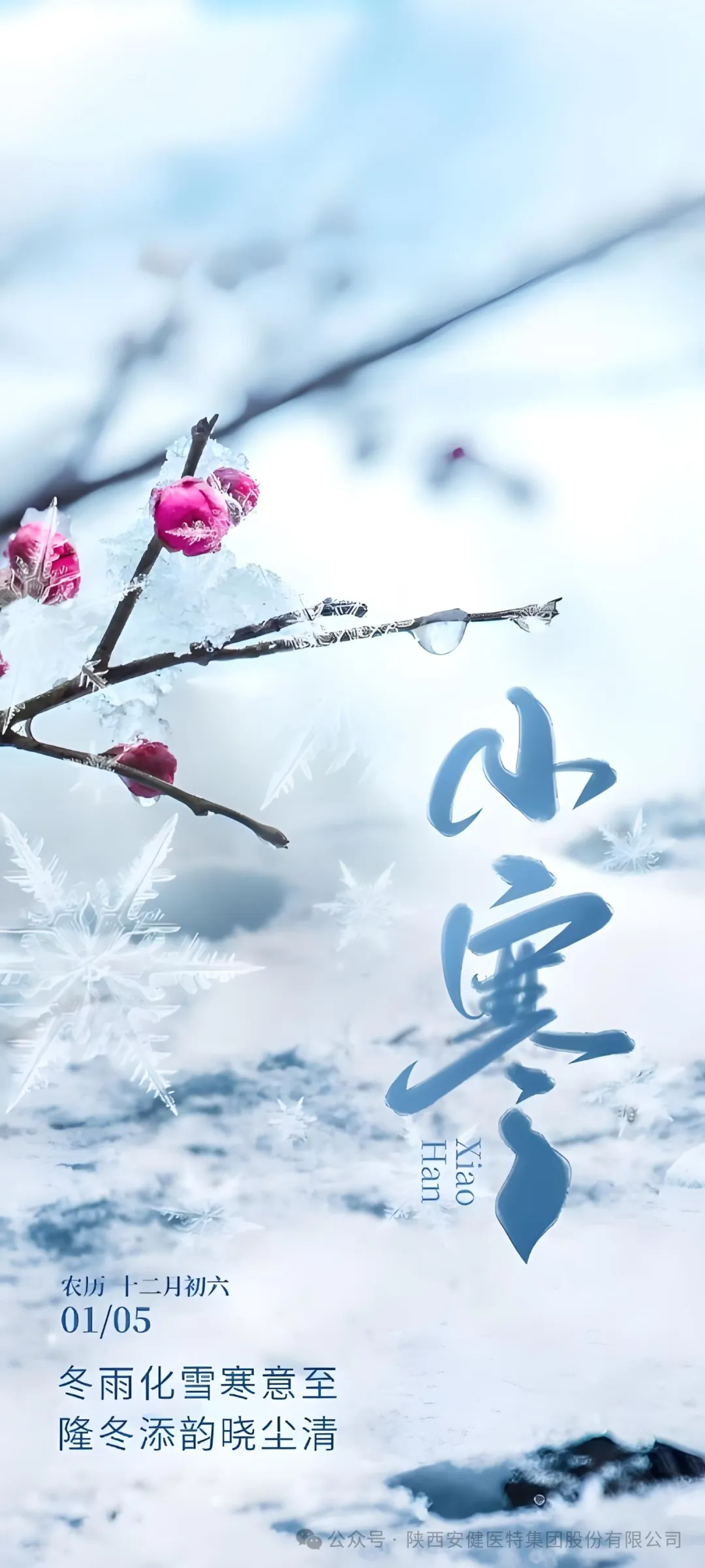 640.webp (4).png