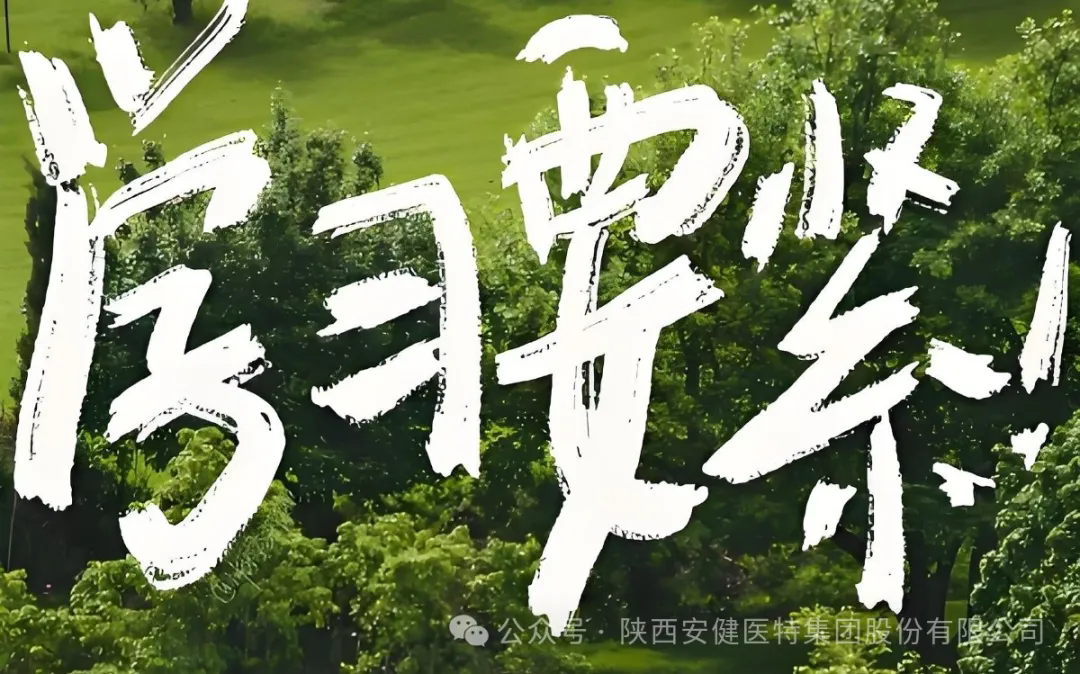 640.webp (9).png