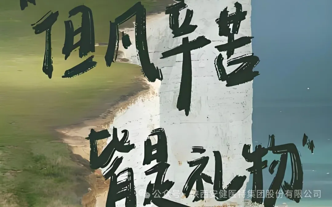 640.webp (11).png