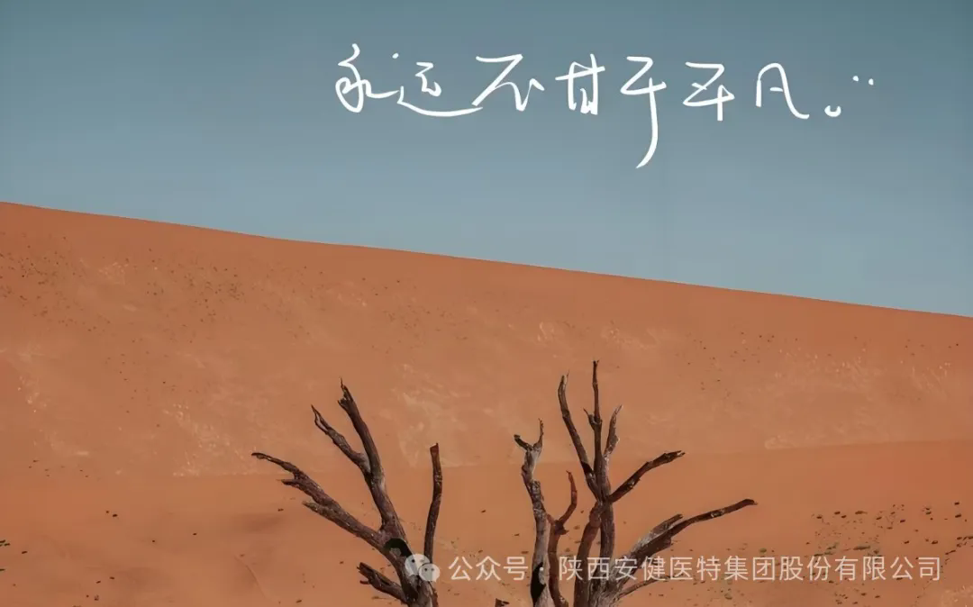 640.webp (2).png