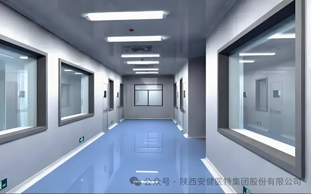 640.webp (1).png