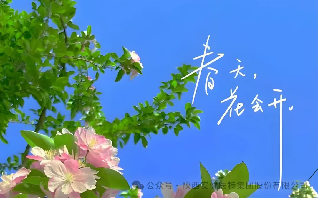 640.webp (7).png