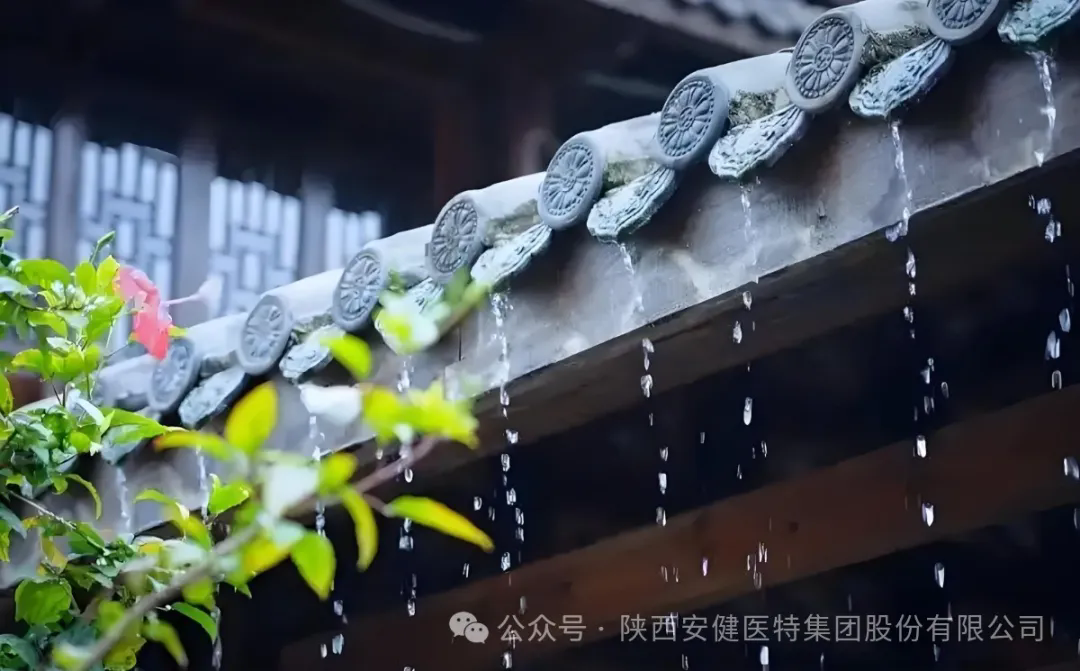 640.webp (7).png