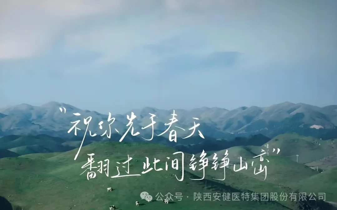 640.webp (2).png