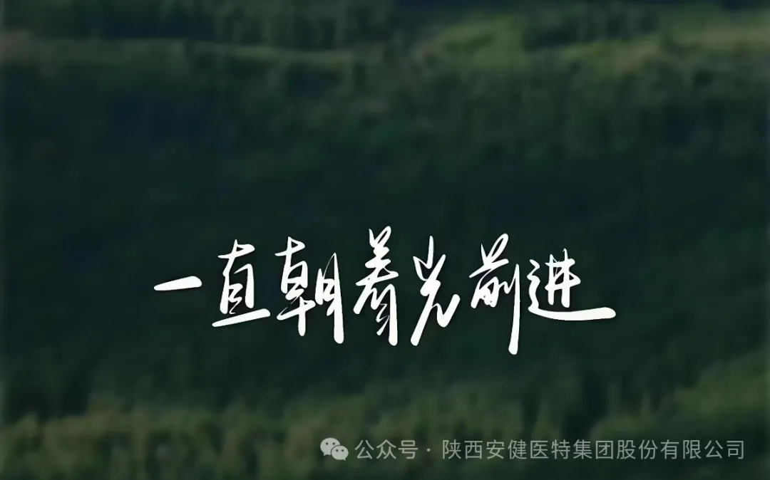 640.webp (6).png