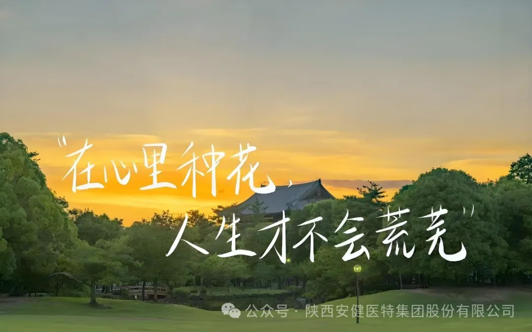 640.webp (1).png