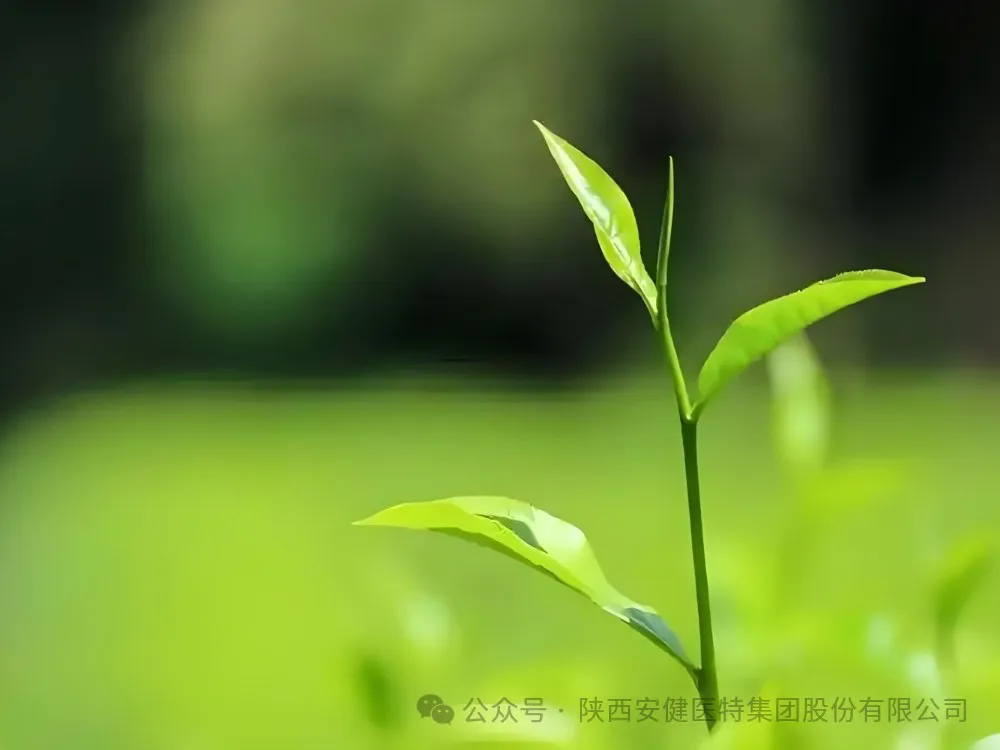 640.webp (1).png
