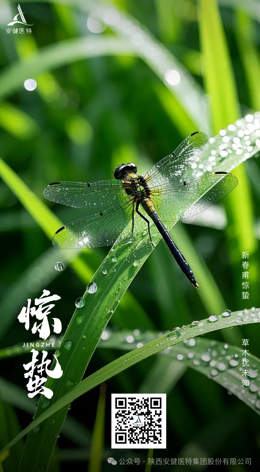 640.webp (2).png