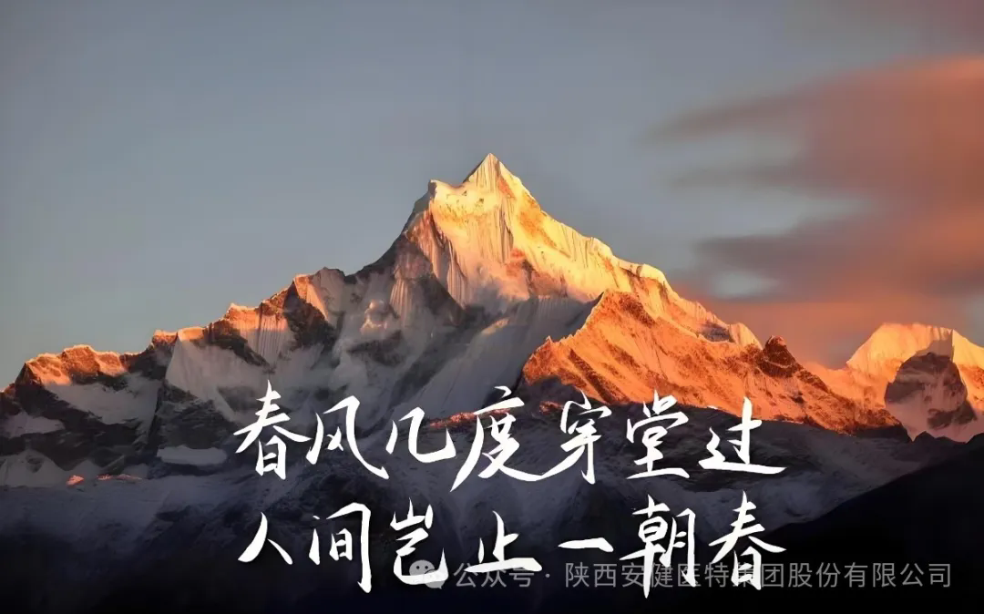 640.webp (1).png