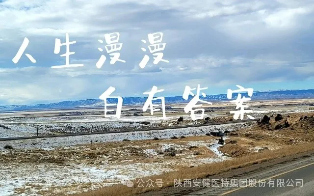 640.webp (4).png