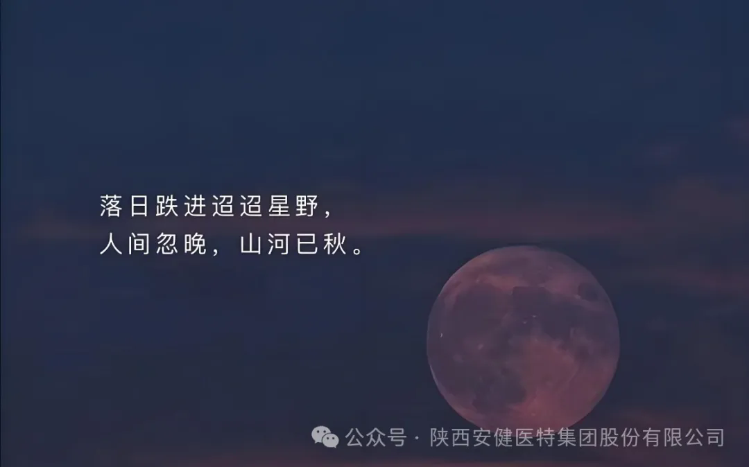 640.webp (5).png