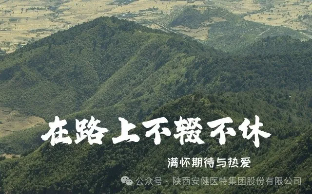 640.webp (6).png