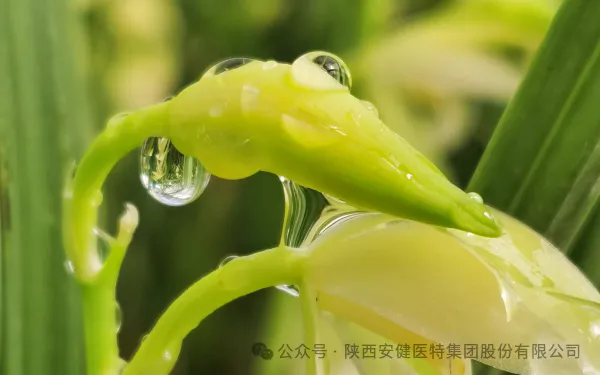 640.webp (7).png