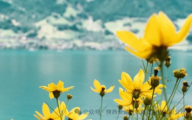 640.webp (1).png