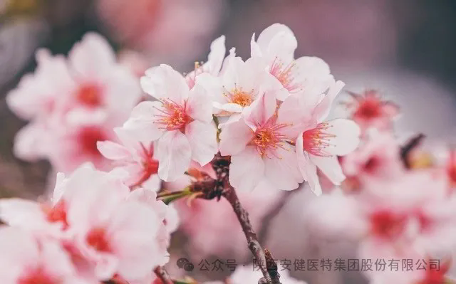 640.webp (2).png
